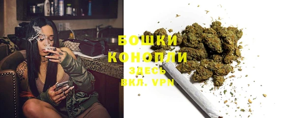 бошки Аркадак