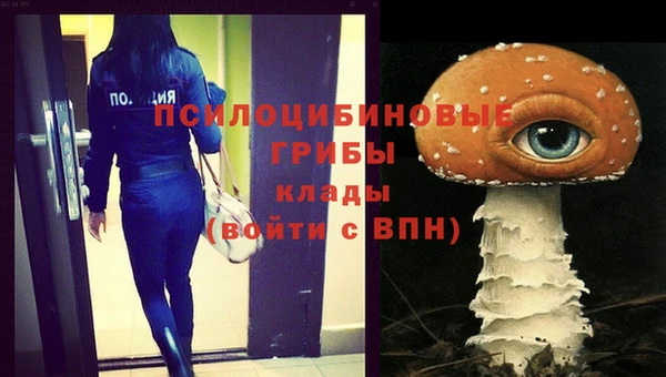 ешки Армянск