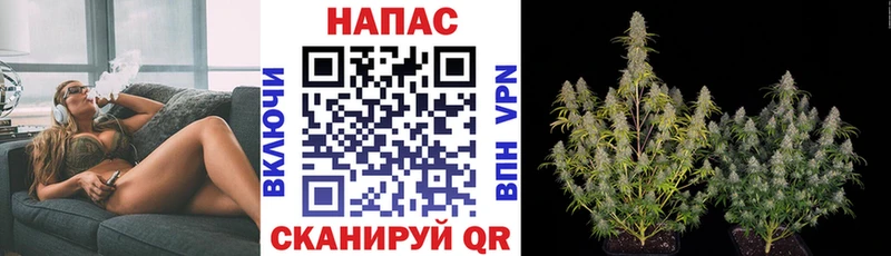 Бошки Шишки VHQ  наркотики  маркетплейс официальный сайт  Баксан 